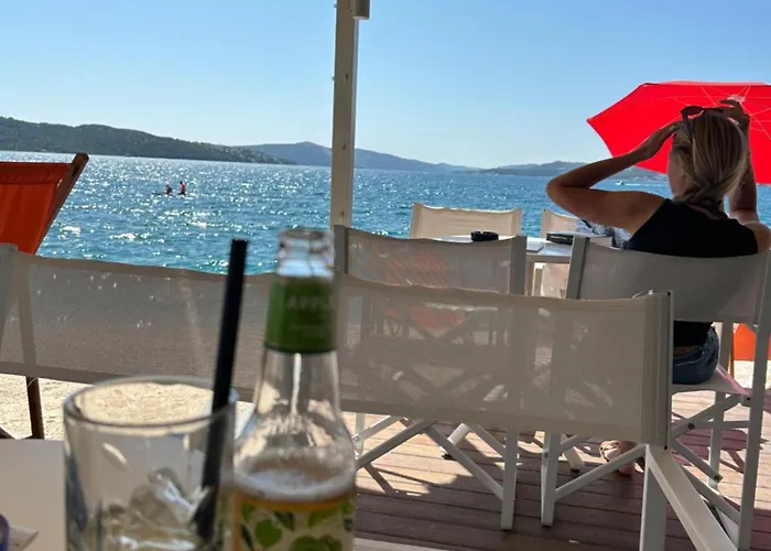 Chatarina טרוגיר